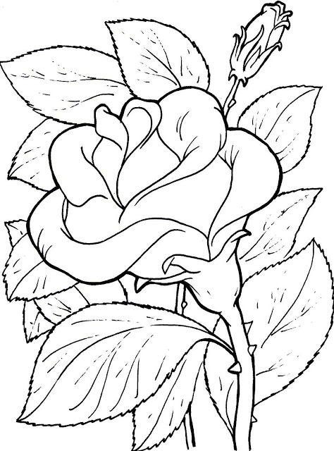 Dibujos hermosos de una flor - Imagui