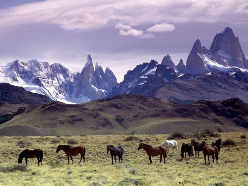 paisaje de argentina