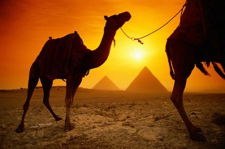 imagenes de egipto