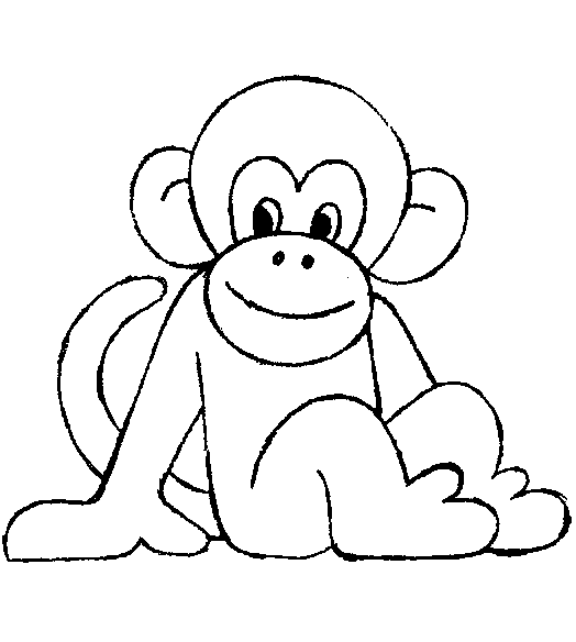 imagenes de monos